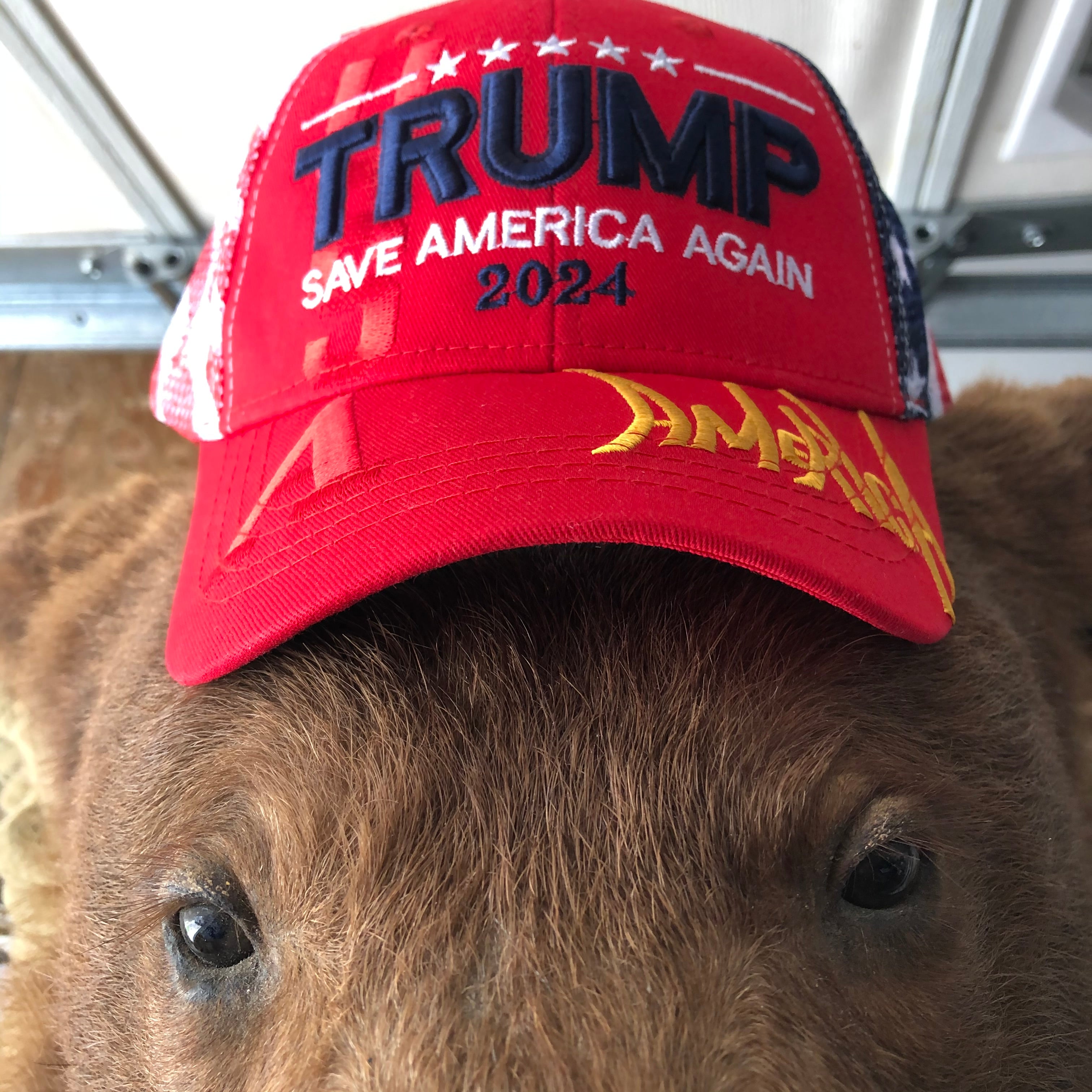 Trump 2024 Save America Again Hat